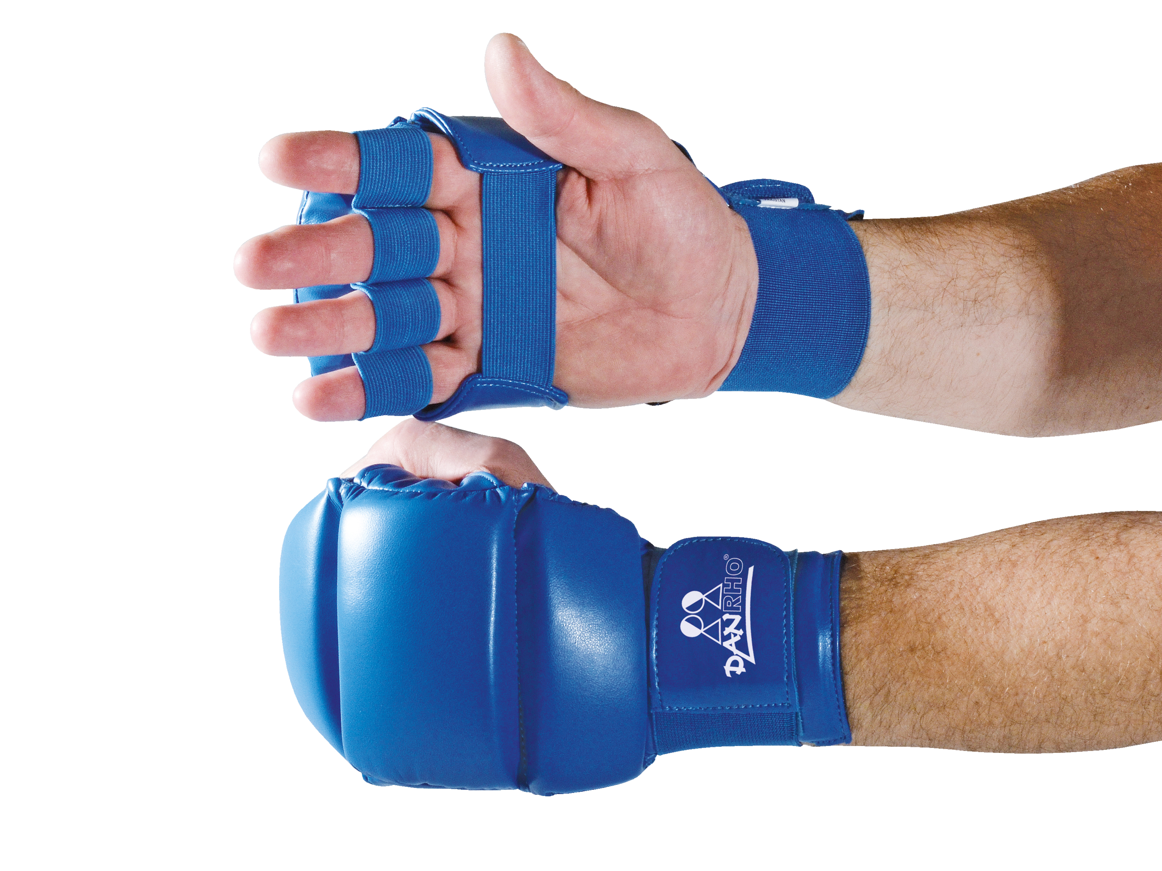 DANRHO Ju Jutsu hand protector
