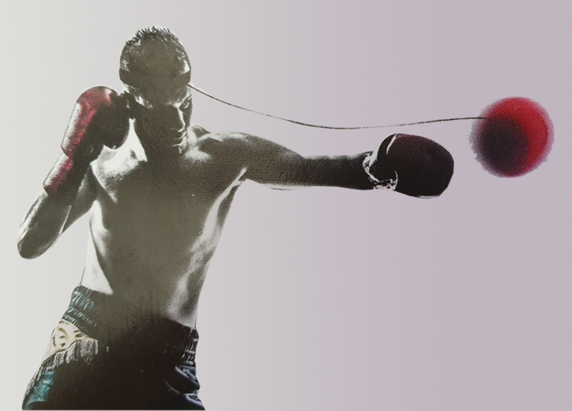 Boxing Reflex Ball