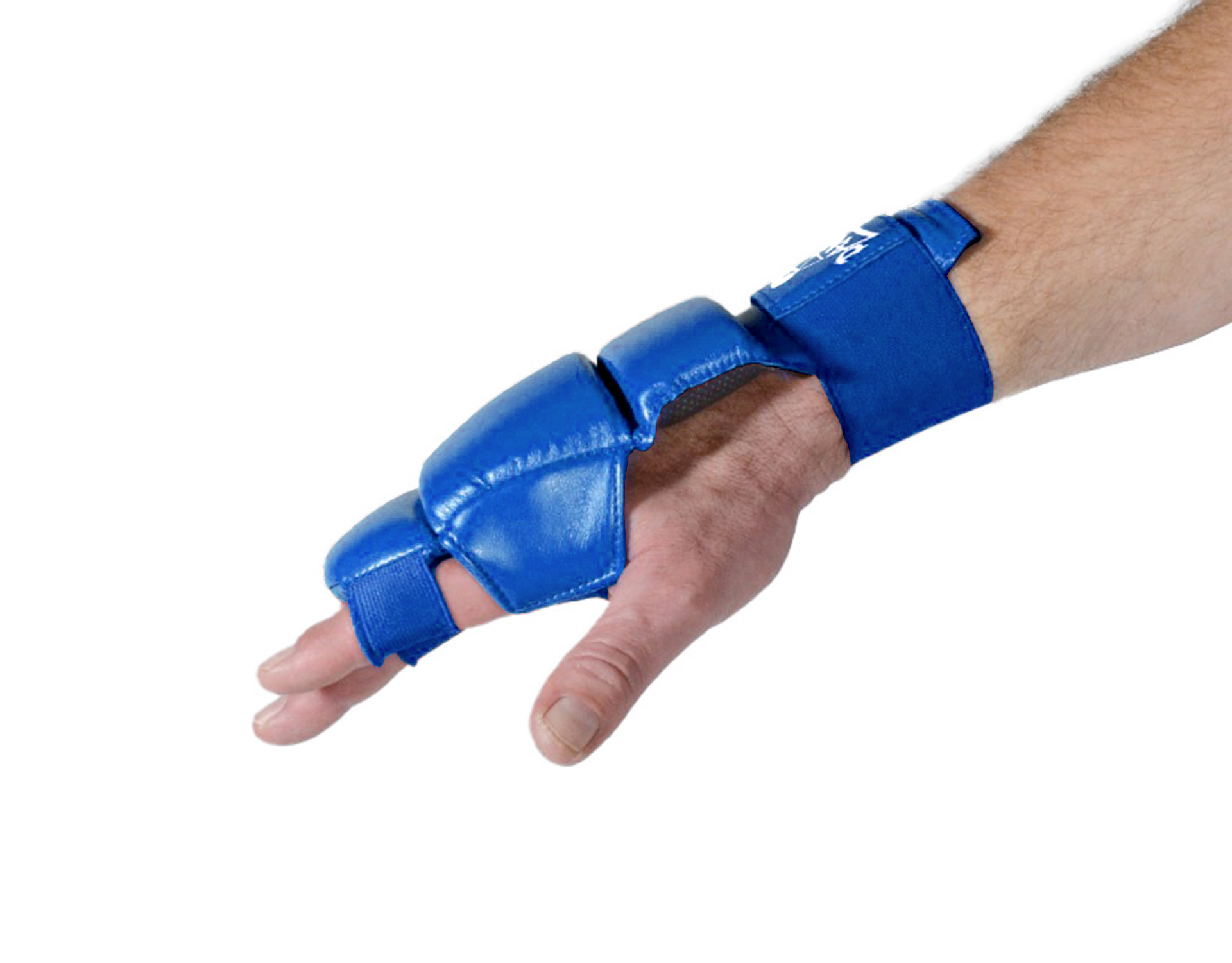 DANRHO Ju Jutsu hand protector