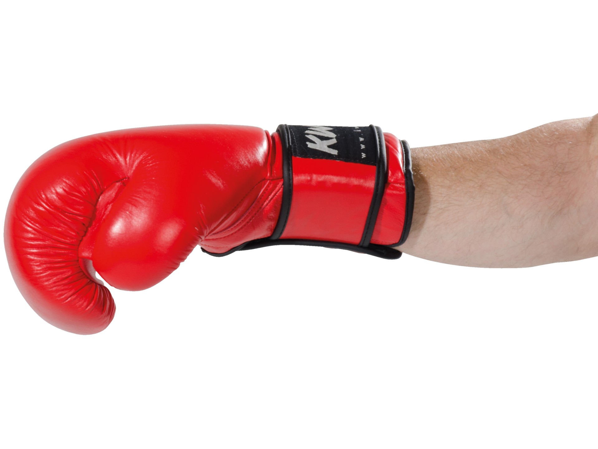 Boxing glove Ergo Champ 10 oz