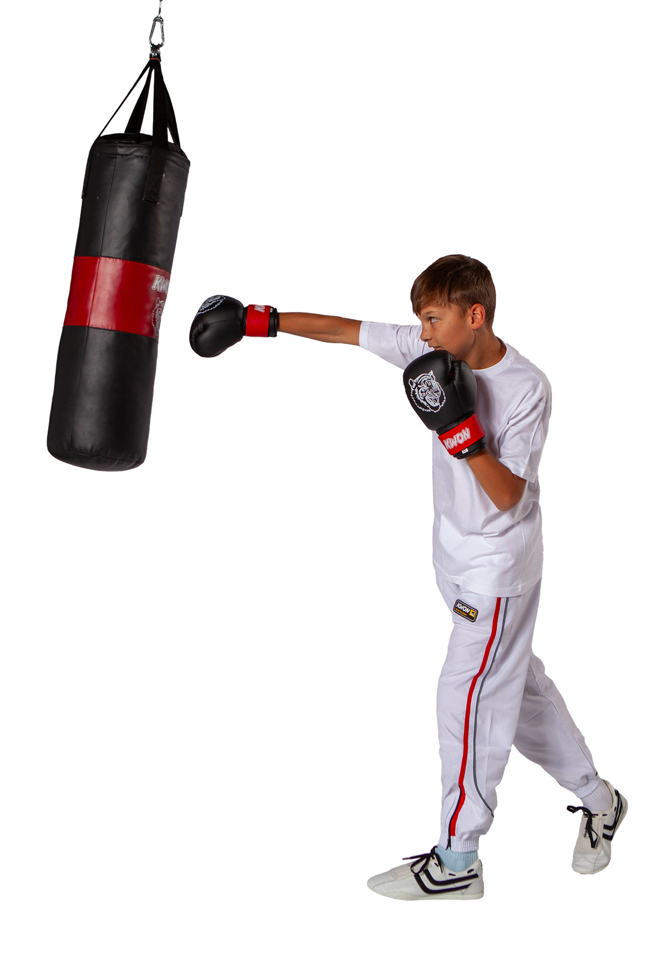 Boxing Bag Tiger