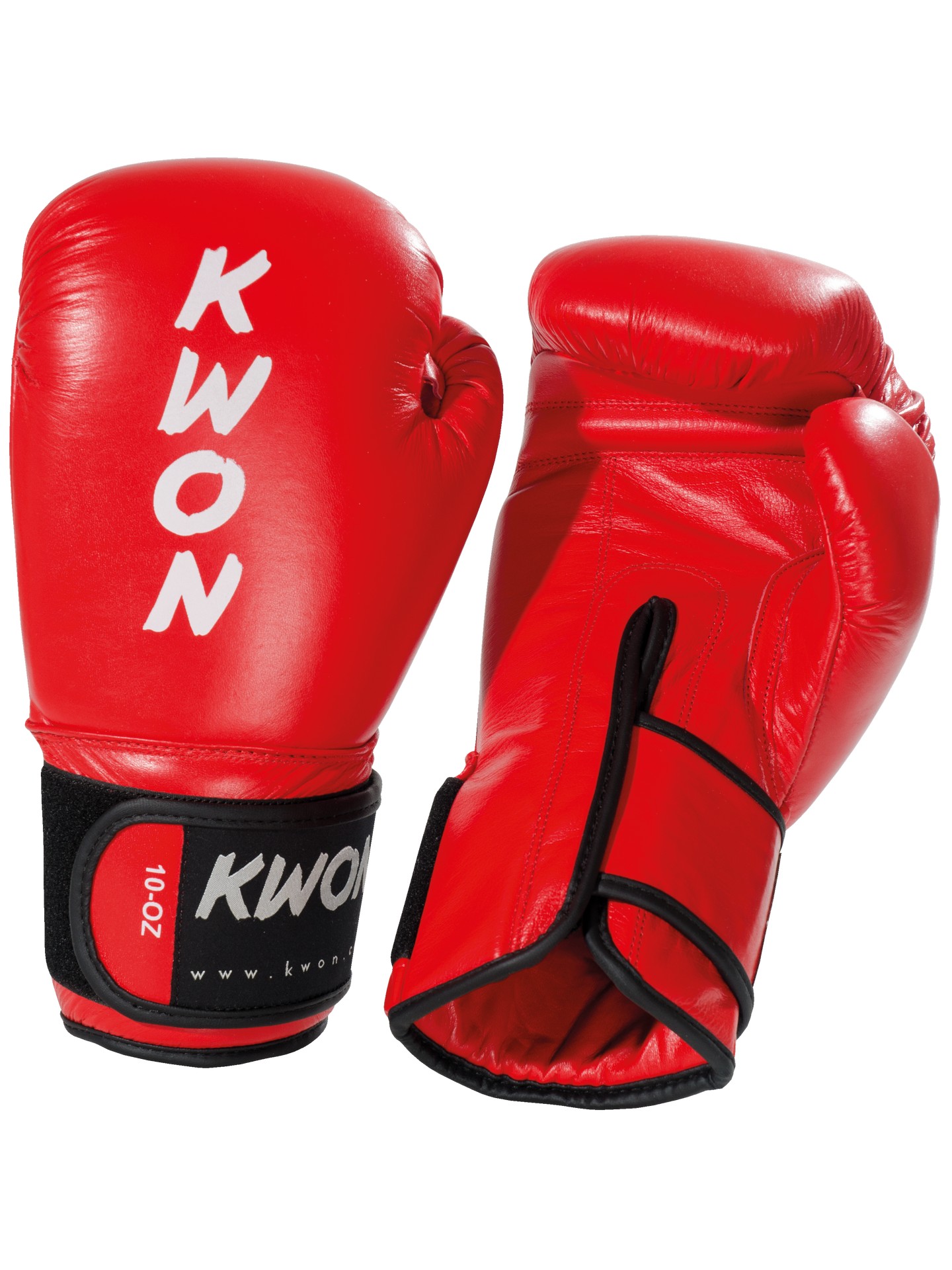Boxing glove Ergo Champ 10 oz