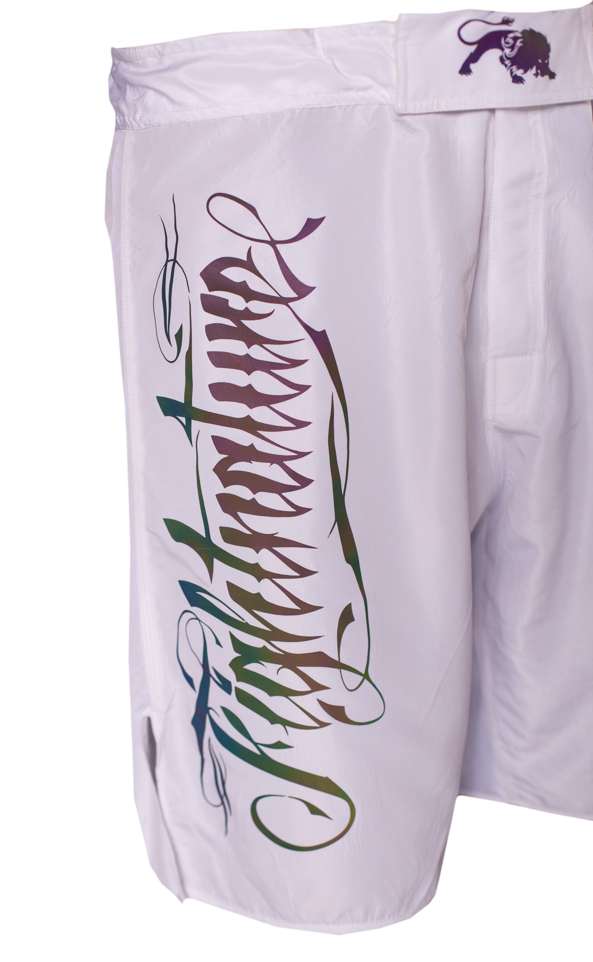 FIGHTNATURE MMA Shorts reflektierender Druck