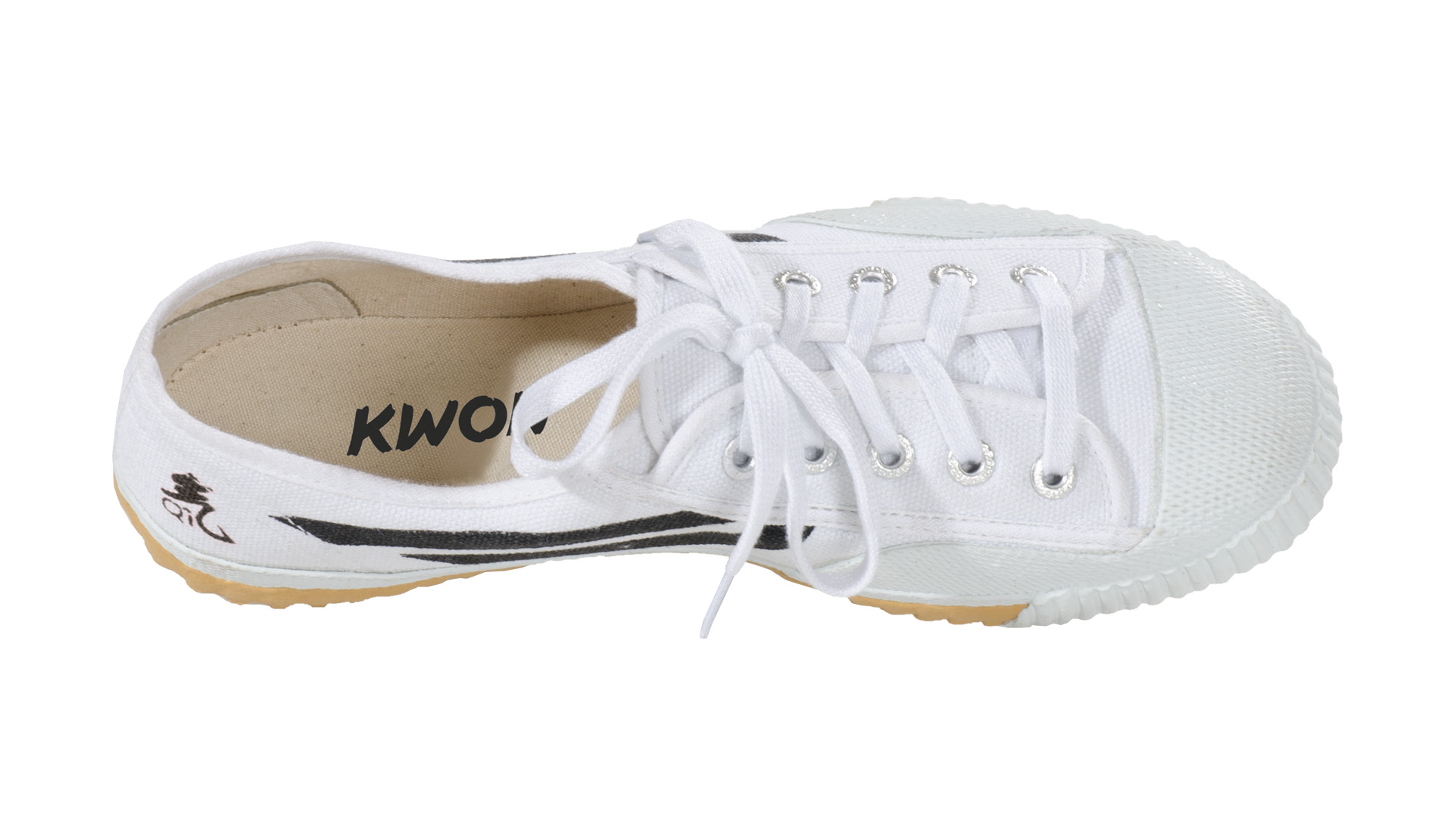 Canvas Training shoes