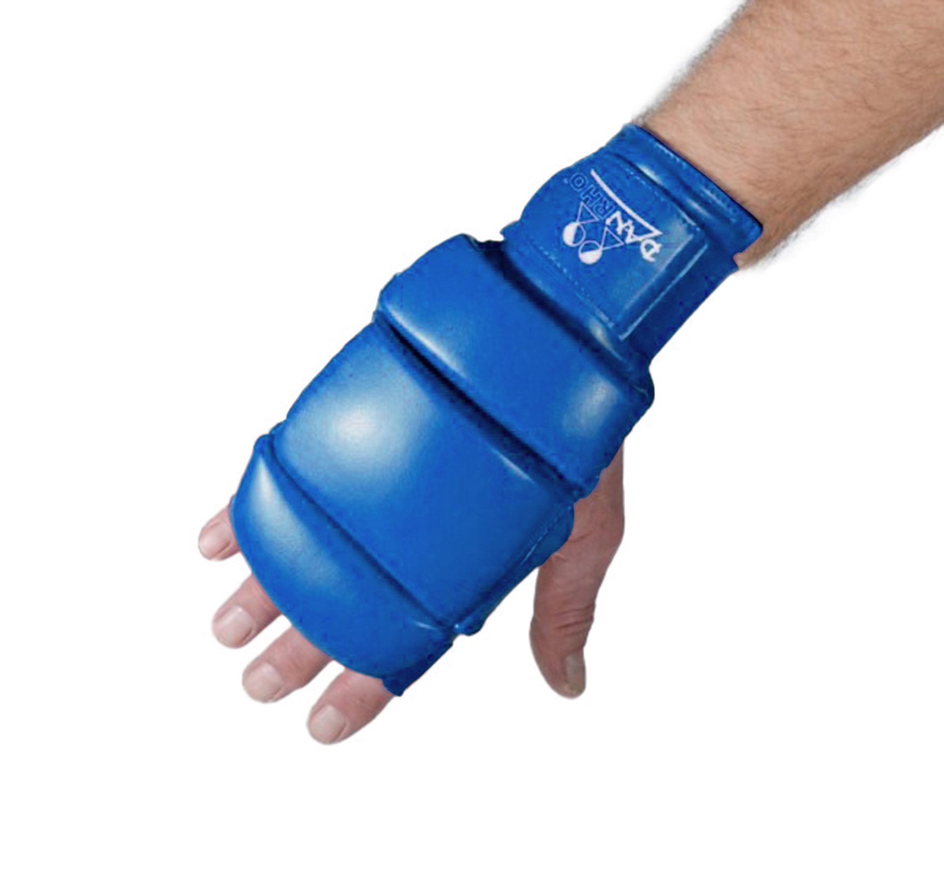 DANRHO Ju Jutsu hand protector